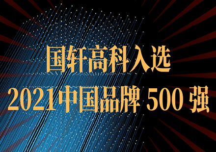 国轩高科入选2021中国品牌500强