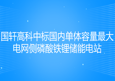 国轩高科中标国内单体容量最大电网侧磷酸铁锂储能电站