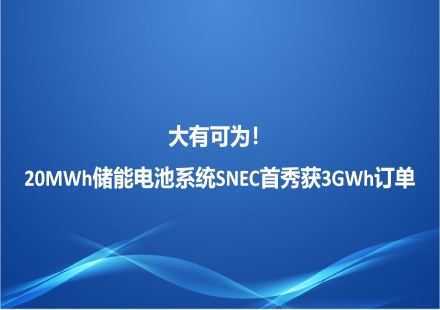 大有可为！ 20MWh储能电池系统SNEC首秀获3GWh订单