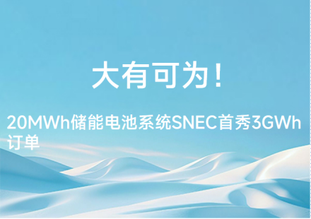 大有可为！ 20MWh储能电池系统SNEC首秀获3GWh订单
